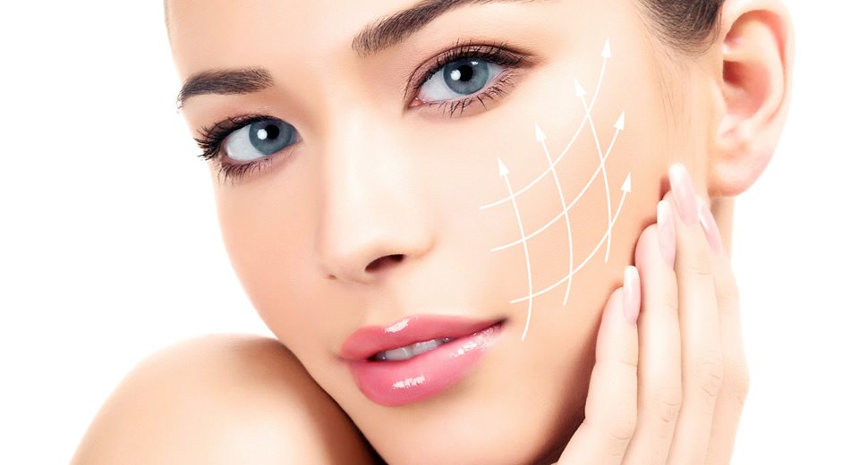 La grasa corporal: el elixir de la eterna juventud